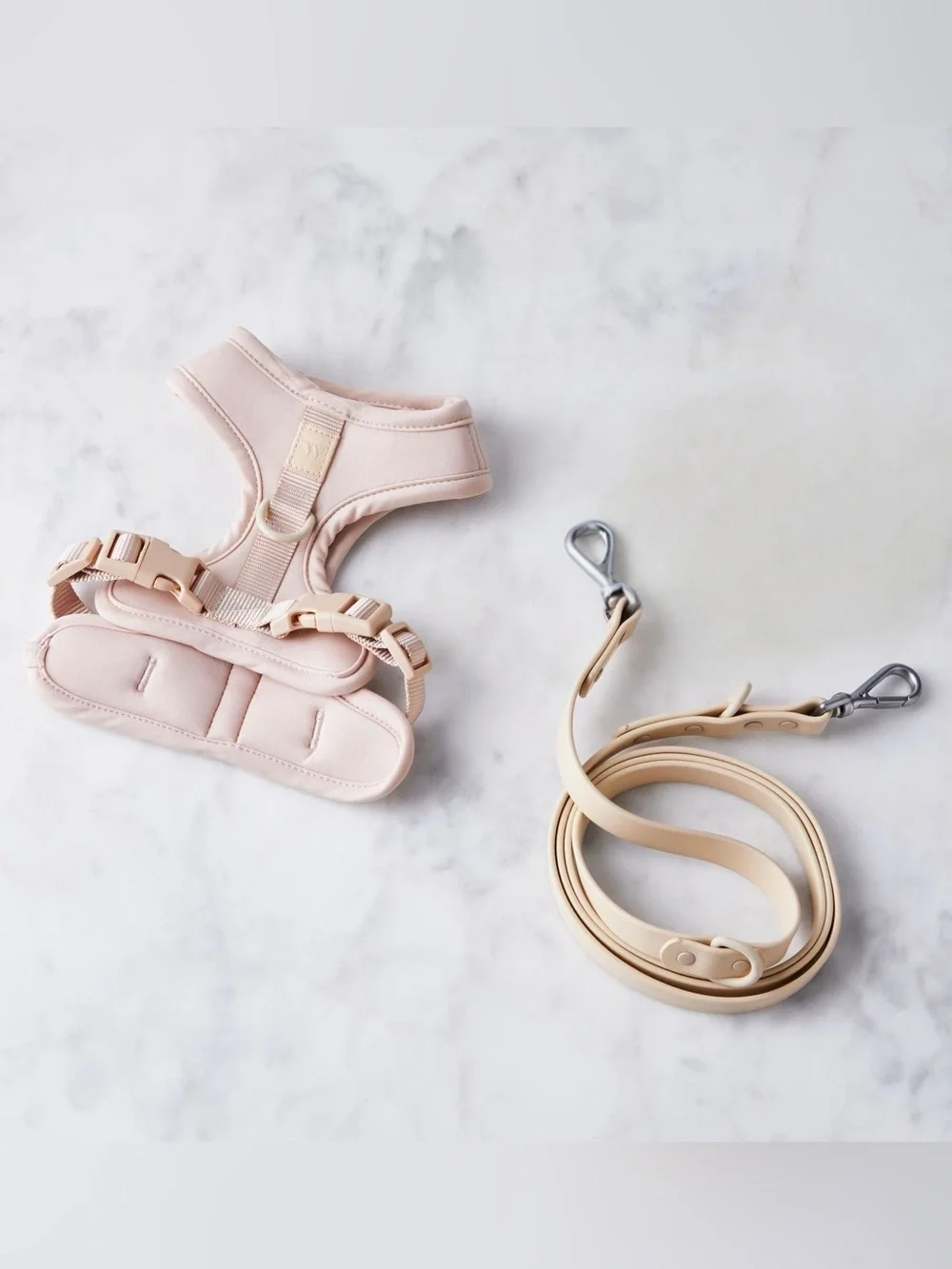 Wild One | Cushioned Harness + Lightweight Leash